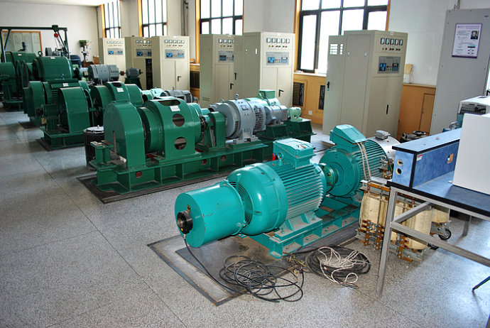 Y710-4某热电厂使用我厂的YKK高压电机提供动力